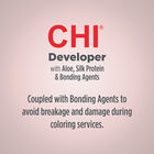 20 Volume Developer - 28 Ounces, , large image number null